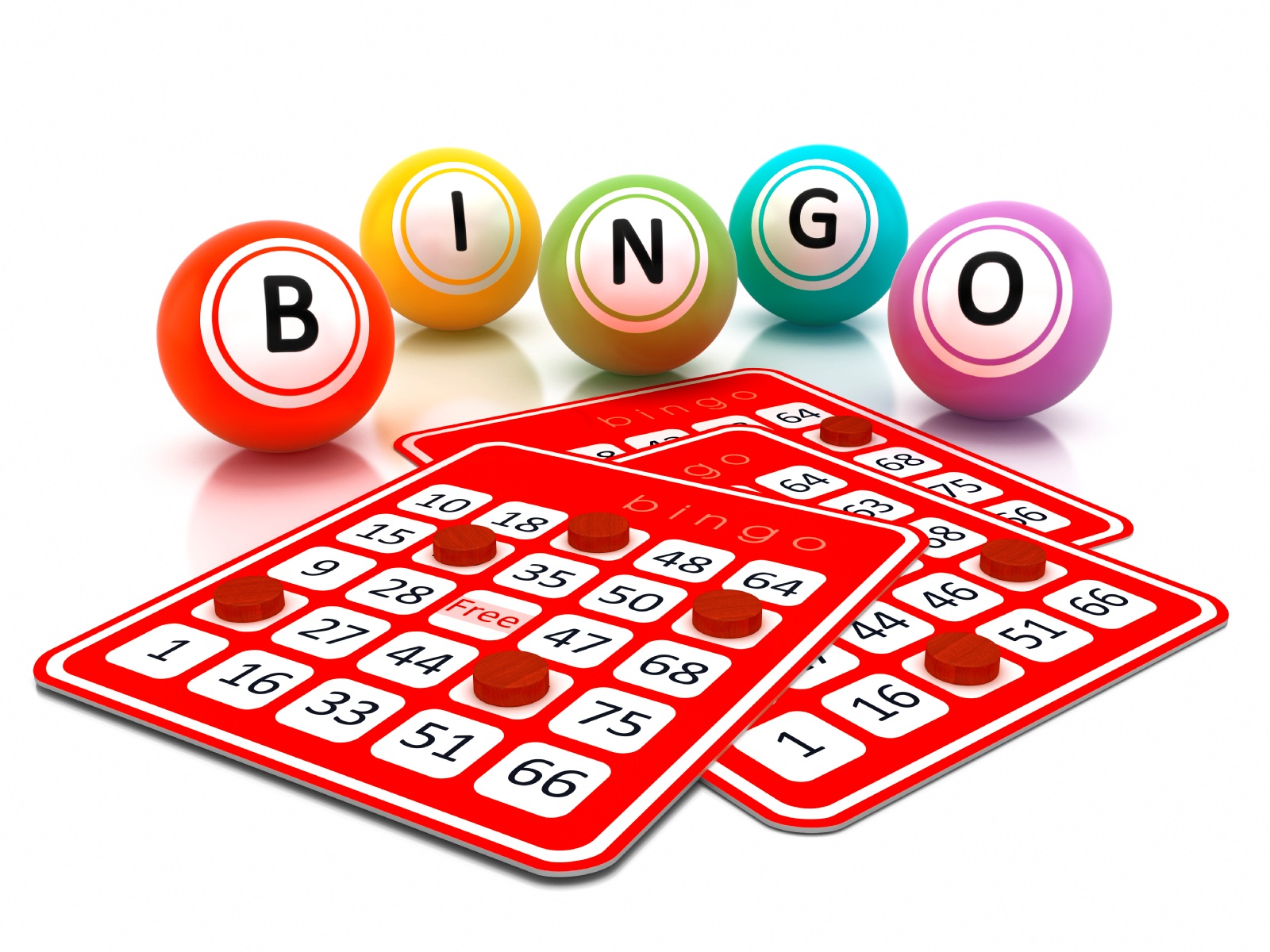 bingo-winterfestijn