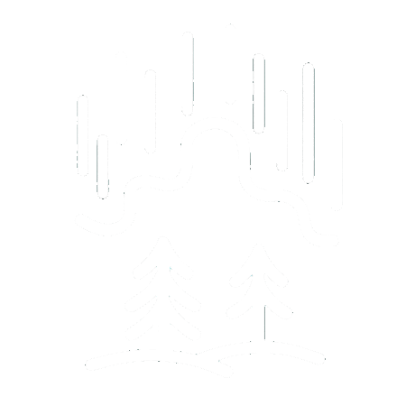 Noorderlicht logo
