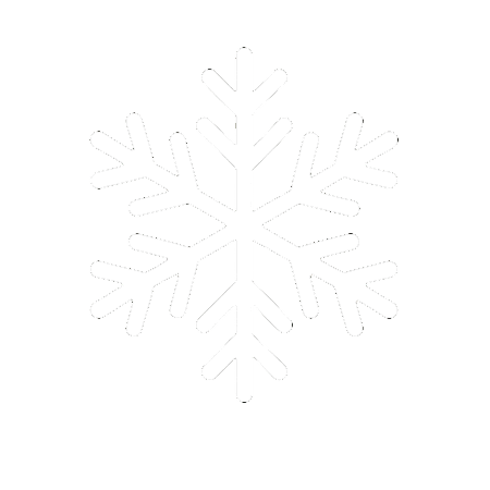 Sneeuwvlokje logo
